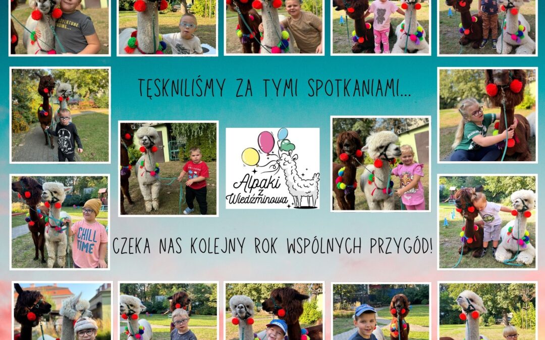 Spotkania z alpakami
